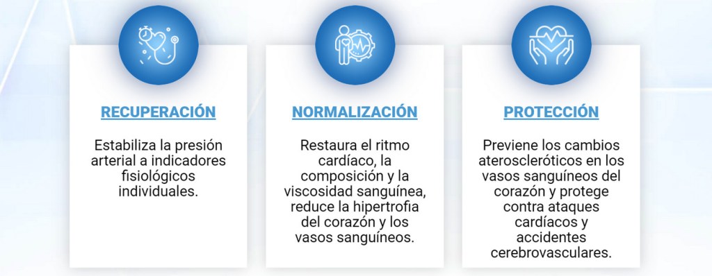 Rhythmengix Colombia